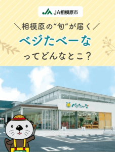 ベジたべーなってどんなとこ？