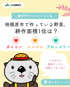 相模原市で作っている野菜、耕作面積１位は？