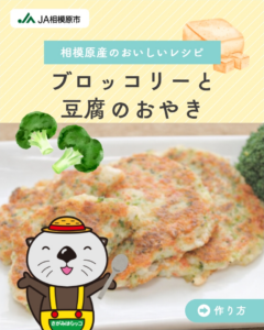 ブロッコリーと豆腐のおやき