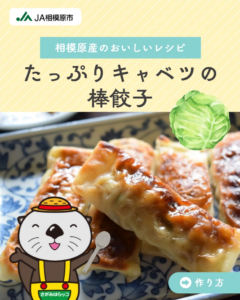 たっぷりキャベツの棒餃子