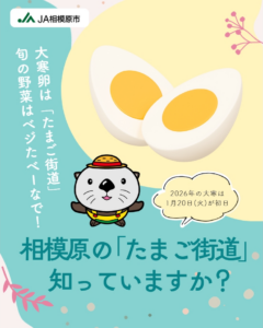 相模原の「たまご街道」知っていますか