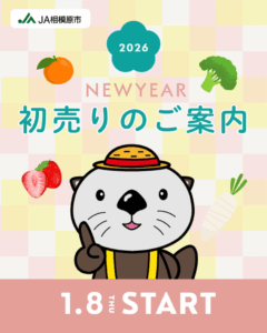 初売りのご案内