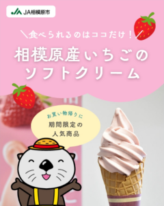 相模原産いちごのソフトクリーム