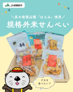 規格外米せんべい