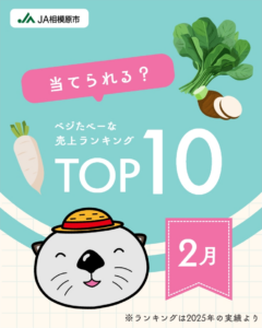 ベジたべーな売上ランキングTOP10_2月