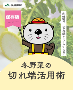 冬野菜の切れ端活用術