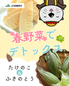 タケノコ＆ふきのとう