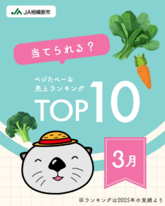 ベジたべーな売上ランキングTOP10_3月